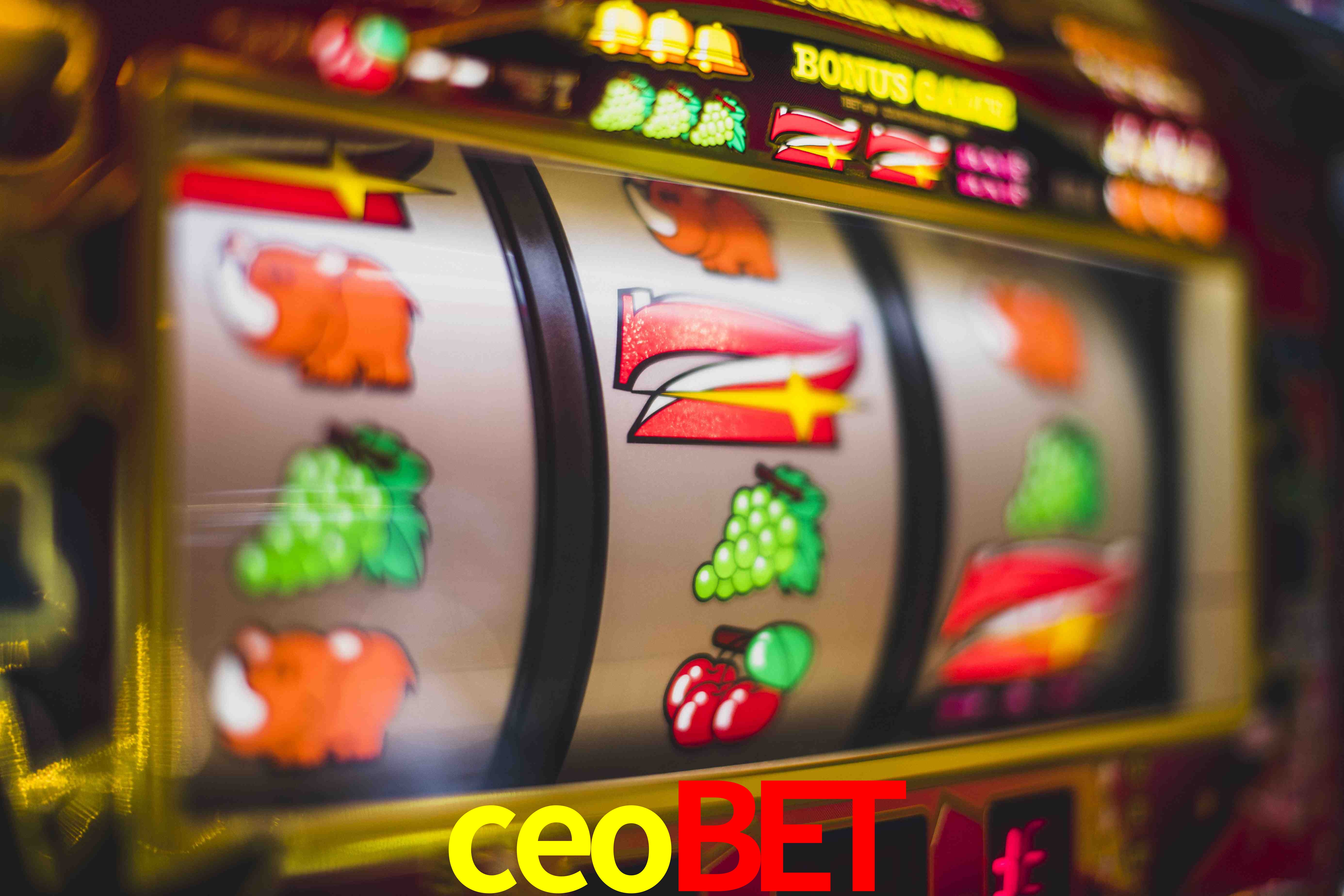 Tennis Betting ceobet